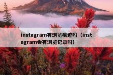 instagram有浏览痕迹吗（instagram会有浏览记录吗）