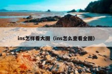 ins怎样看大图（ins怎么查看全图）