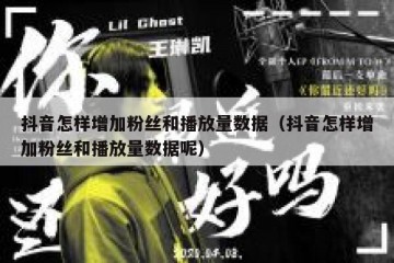 抖音怎样增加粉丝和播放量数据（抖音怎样增加粉丝和播放量数据呢）