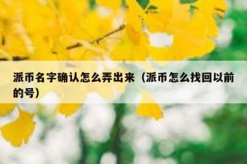 派币名字确认怎么弄出来（派币怎么找回以前的号）