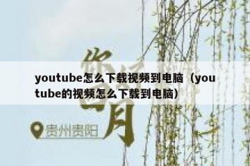 youtube怎么下载视频到电脑（youtube的视频怎么下载到电脑）