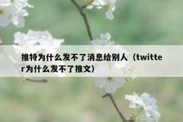 推特为什么发不了消息给别人（twitter为什么发不了推文）