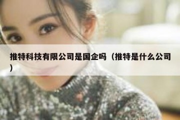 推特科技有限公司是国企吗（推特是什么公司）