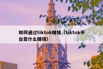 如何通过tiktok赚钱（tiktok平台靠什么赚钱）