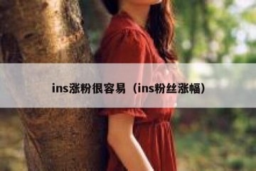 ins涨粉很容易（ins粉丝涨幅）