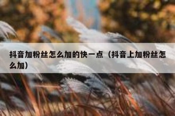 抖音加粉丝怎么加的快一点（抖音上加粉丝怎么加）