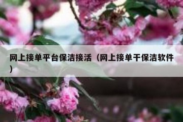 网上接单平台保洁接活（网上接单干保洁软件）