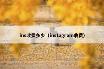 ins收费多少（instagram收费）