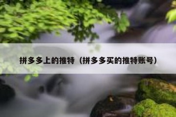 拼多多上的推特（拼多多买的推特账号）