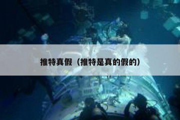 推特真假（推特是真的假的）