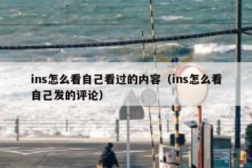 ins怎么看自己看过的内容（ins怎么看自己发的评论）