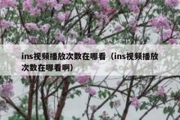 ins视频播放次数在哪看（ins视频播放次数在哪看啊）
