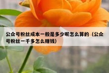 公众号粉丝成本一般是多少呢怎么算的（公众号粉丝一千多怎么赚钱）