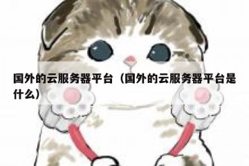 国外的云服务器平台（国外的云服务器平台是什么）