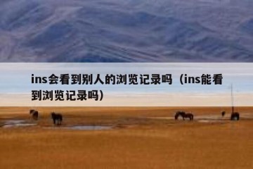 ins会看到别人的浏览记录吗（ins能看到浏览记录吗）