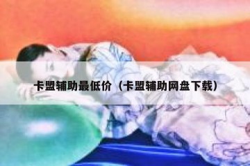 卡盟辅助最低价（卡盟辅助网盘下载）