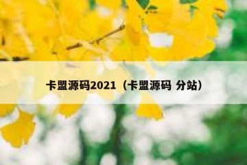 卡盟源码2021（卡盟源码 分站）