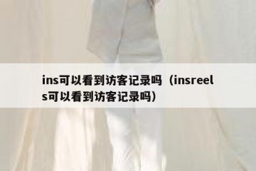 ins可以看到访客记录吗（insreels可以看到访客记录吗）