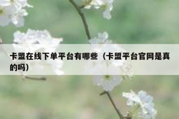 卡盟在线下单平台有哪些（卡盟平台官网是真的吗）