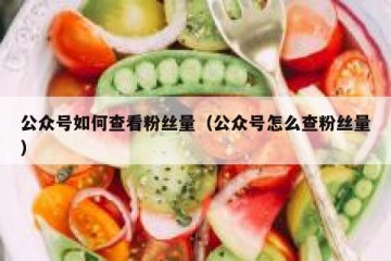 公众号如何查看粉丝量（公众号怎么查粉丝量）
