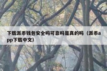 下载派币钱包安全吗可靠吗是真的吗（派币app下载中文）