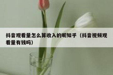 抖音观看量怎么算收入的呢知乎（抖音视频观看量有钱吗）