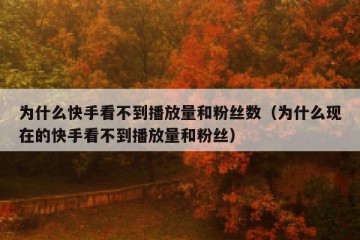 为什么快手看不到播放量和粉丝数（为什么现在的快手看不到播放量和粉丝）