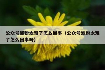 公众号涨粉太难了怎么回事（公众号涨粉太难了怎么回事呀）