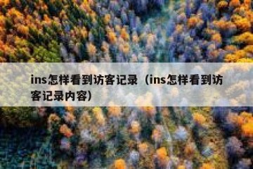 ins怎样看到访客记录（ins怎样看到访客记录内容）