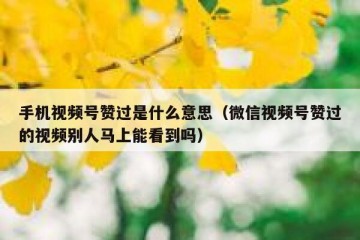 手机视频号赞过是什么意思（微信视频号赞过的视频别人马上能看到吗）