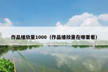 作品播放量1000（作品播放量在哪里看）