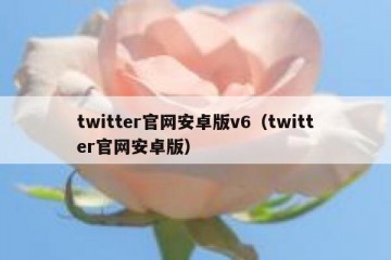 twitter官网安卓版v6（twitter官网安卓版）