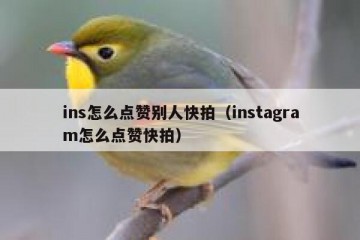 ins怎么点赞别人快拍（instagram怎么点赞快拍）