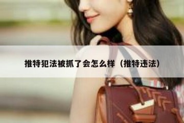 推特犯法被抓了会怎么样（推特违法）