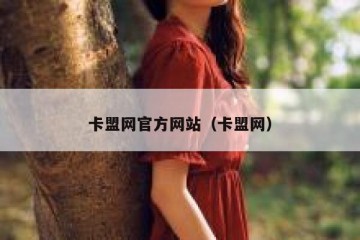 卡盟网官方网站（卡盟网）