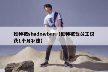 推特被shadowban（推特被裁员工仅获1个月补偿）