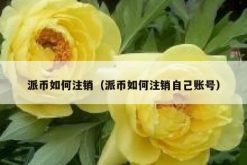 派币如何注销（派币如何注销自己账号）