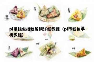pi币钱包指纹解锁详细教程（pi币钱包手机教程）