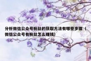 分析微信公众号粉丝的获取方法有哪些步骤（微信公众号有粉丝怎么赚钱）