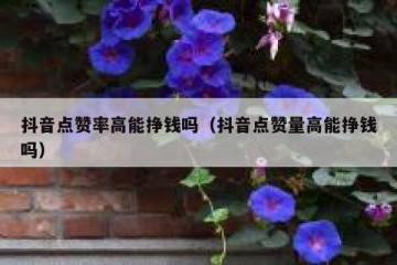 抖音点赞率高能挣钱吗（抖音点赞量高能挣钱吗）