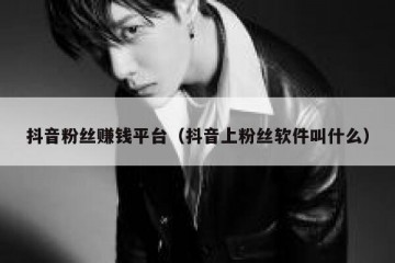 抖音粉丝赚钱平台（抖音上粉丝软件叫什么）