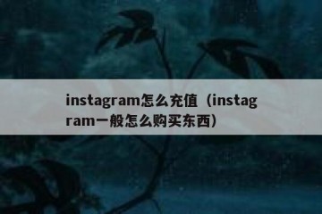 instagram怎么充值（instagram一般怎么购买东西）