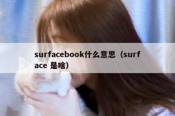 surfacebook什么意思（surface 是啥）