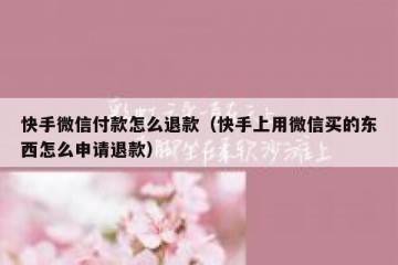 快手微信付款怎么退款（快手上用微信买的东西怎么申请退款）