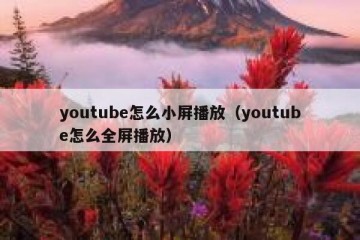 youtube怎么小屏播放（youtube怎么全屏播放）