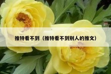 推特看不到（推特看不到别人的推文）