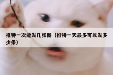 推特一次能发几张图（推特一天最多可以发多少条）