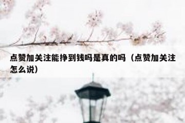 点赞加关注能挣到钱吗是真的吗（点赞加关注怎么说）