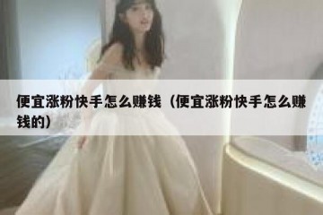 便宜涨粉快手怎么赚钱（便宜涨粉快手怎么赚钱的）