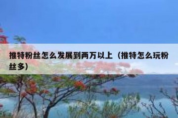 推特粉丝怎么发展到两万以上（推特怎么玩粉丝多）
